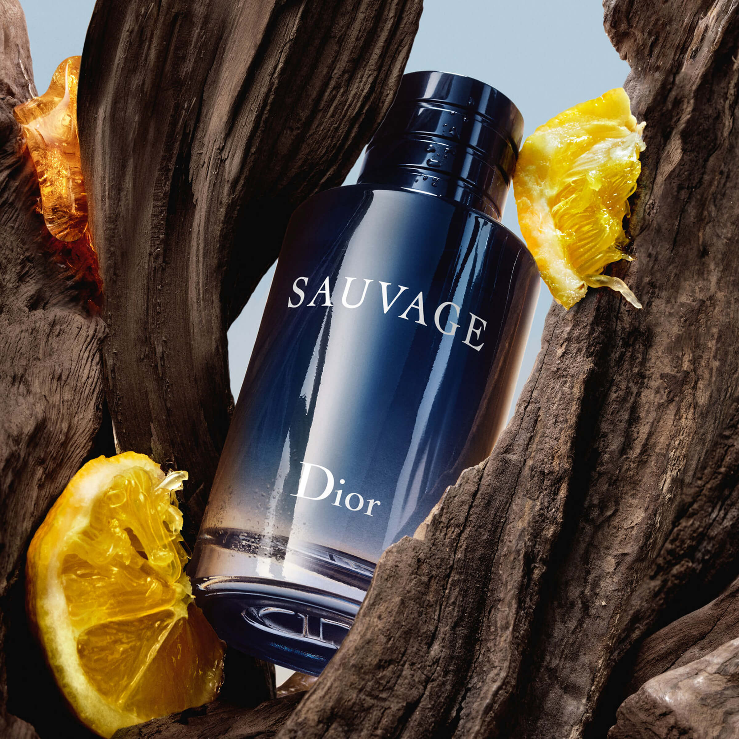 Perfume Sauvage DiorPerfume